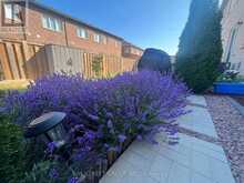 164 BEAVERIDGE AVENUE | Oakville Ontario | Slide Image Thirty-six