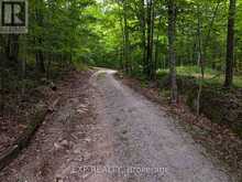273 FIRE ROUTE 330 ROUTE | Kawartha Lakes Ontario | Slide Image Three