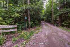 273 FIRE ROUTE 330 ROUTE | Kawartha Lakes Ontario | Slide Image Four