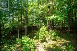 5 GROUSE GLEN | Barrie Ontario | Slide Image Fifteen