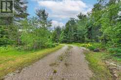 1039 BEN LAKE ROAD E | Gravenhurst Ontario | Slide Image Thirty-one