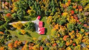 1945 COUNTY ROAD 48 | Kawartha Lakes Ontario | Slide Image Forty-one