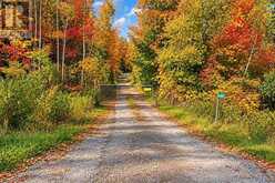 1945 COUNTY ROAD 48 | Kawartha Lakes Ontario | Slide Image Forty-seven