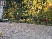 LOT 25 FIRE ROUTE 70B | North Kawartha Ontario | Slide Image Eight