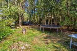 77 MCGUIRE BEACH ROAD | Kawartha Lakes Ontario | Slide Image Forty