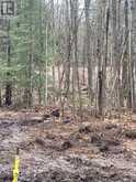 LT 17 LAIDLAW AVENUE | Gravenhurst Ontario | Slide Image Twelve