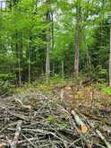LT 17 LAIDLAW AVENUE | Gravenhurst Ontario | Slide Image Thirteen