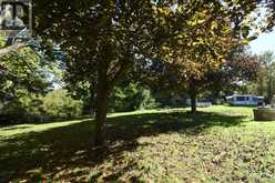 54 OLD MILL ROAD | Clear Creek Ontario | Slide Image Thirty-nine