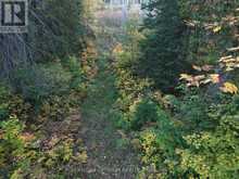 PCL 7717 & PCL 17235 LT 22 CON 3 & LT 21 CON 3 | Utterson Ontario | Slide Image Fifteen