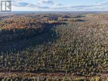 PCL 7717 & PCL 17235 LT 22 CON 3 & LT 21 CON 3 | Utterson Ontario | Slide Image Seventeen