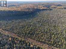 PCL 7717 & PCL 17235 LT 22 CON 3 & LT 21 CON 3 | Utterson Ontario | Slide Image One