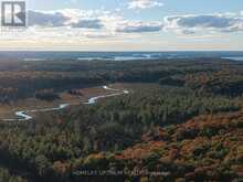PCL 7717 & PCL 17235 LT 22 CON 3 & LT 21 CON 3 | Utterson Ontario | Slide Image Twenty