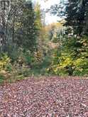 PCL 7717 & PCL 17235 LT 22 CON 3 & LT 21 CON 3 | Utterson Ontario | Slide Image Twenty-three