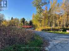 PCL 7717 & PCL 17235 LT 22 CON 3 & LT 21 CON 3 | Utterson Ontario | Slide Image Twenty-four