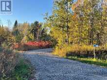 PCL 7717 & PCL 17235 LT 22 CON 3 & LT 21 CON 3 | Utterson Ontario | Slide Image Twenty-five