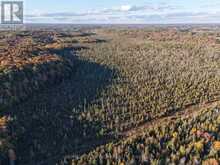 PCL 7717 & PCL 17235 LT 22 CON 3 & LT 21 CON 3 | Utterson Ontario | Slide Image Three