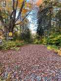 PCL 7717 & PCL 17235 LT 22 CON 3 & LT 21 CON 3 | Utterson Ontario | Slide Image Five