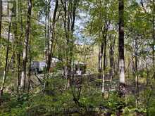 3159 SWITCH ROAD | Washago Ontario | Slide Image Sixteen