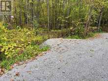 3159 SWITCH ROAD | Washago Ontario | Slide Image Two