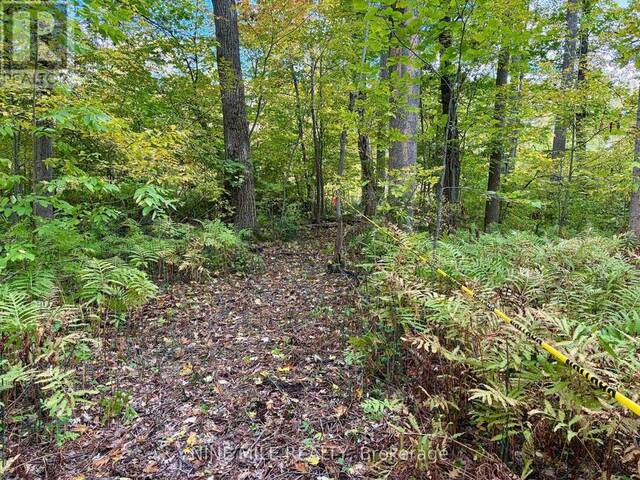 3159 SWITCH ROAD Washago Ontario, L0K 2B0 - Waterfront Land For Sale