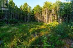 0 PT5,7,8 LT61 WEST BAY ROAD | Greater Sudbury Ontario | Slide Image Seventeen