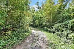 2442 CHAMPLAIN ROAD | Tiny Ontario | Slide Image Five