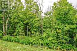 8 FOREST HEIGHTS COURT | Oro-Medonte Ontario | Slide Image Forty-three