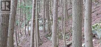 1280B AUSTRIS ROAD | North Frontenac Ontario | Slide Image Thirty-two