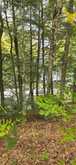 1280B AUSTRIS ROAD | North Frontenac Ontario | Slide Image Thirty-five