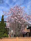 102 GOUGH AVENUE | Toronto Ontario | Slide Image Thirty-seven