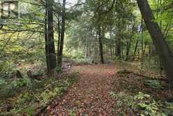 13643 LITTLE LAKE ROAD | Alnwick-Haldimand Ontario | Slide Image Forty-one