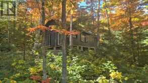EQ 61 N/A | Huron Shores Ontario | Slide Image Four
