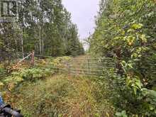 MINING CLAIM 199 - 214 DALE TOWNSHIP | Greater Sudbury Ontario | Slide Image Thirty
