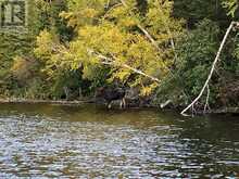 MINING CLAIM 199 - 214 DALE TOWNSHIP | Greater Sudbury Ontario | Slide Image Thirty-four