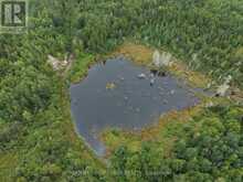 MINING CLAIM 199 - 214 DALE TOWNSHIP | Greater Sudbury Ontario | Slide Image Thirty-eight