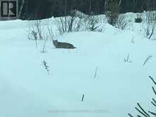MINING CLAIM 199 - 214 DALE TOWNSHIP | Greater Sudbury Ontario | Slide Image Forty-one