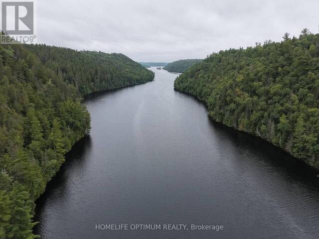 MINING CLAIM 199 - 214 DALE TOWNSHIP Greater Sudbury Ontario, P0M 1T0 - Waterfront Land For Sale