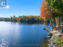 210 - 10 COVESIDE DRIVE | Huntsville Ontario | Slide Image Forty-one