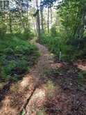57 WOODLAND DRIVE | Rosseau Ontario | Slide Image Four