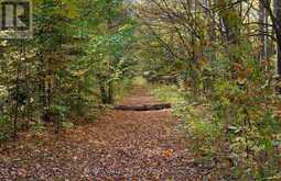667467 20TH SIDEROAD | Mulmur Ontario | Slide Image Forty-seven