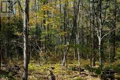 667467 20TH SIDEROAD | Mulmur Ontario | Slide Image Forty-eight