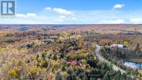 4380 KENNISIS LAKE ROAD | Haliburton Ontario | Slide Image Thirty-five