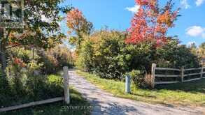 365 OLD COLONY ROAD | Richmond Hill Ontario | Slide Image Thirty-eight