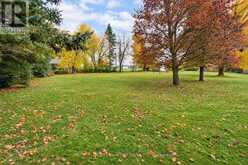 1598 COUNTY RD 46 | Kawartha Lakes Ontario | Slide Image Three