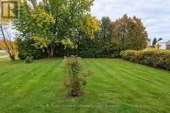 1598 COUNTY RD 46 | Kawartha Lakes Ontario | Slide Image Seven