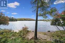 62 MILL LAKE TRAIL | McDougall Ontario | Slide Image Thirty-five