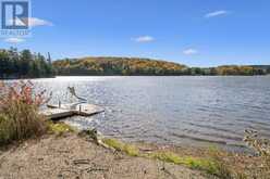 62 MILL LAKE TRAIL | McDougall Ontario | Slide Image Thirty-eight