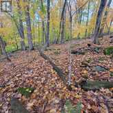 261 WESTPOINT SANDS ROAD | Huntsville Ontario | Slide Image One