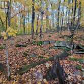 261 WESTPOINT SANDS ROAD | Huntsville Ontario | Slide Image Two