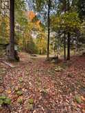 LOT 23 CON 3 SEBASTOPOL | Eganville Ontario | Slide Image Thirty